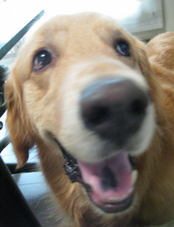 c0096393_025140.jpg