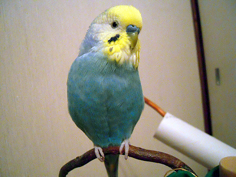 d0131293_20203562.jpg