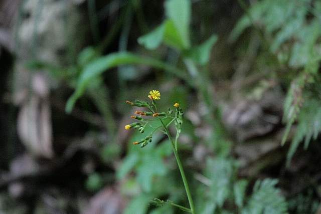 d0133693_18215776.jpg