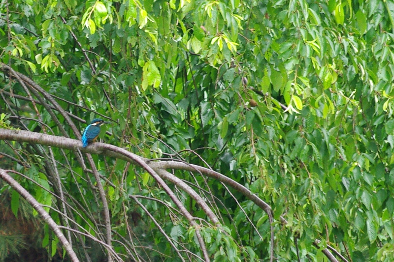 c0125596_21561451.jpg