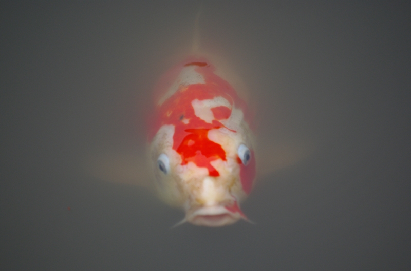 c0125596_220393.jpg