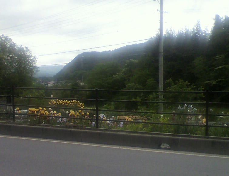 f0108399_12341649.jpg