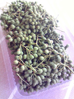 c0050400_9563688.jpg