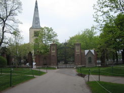 e0033301_1763117.jpg