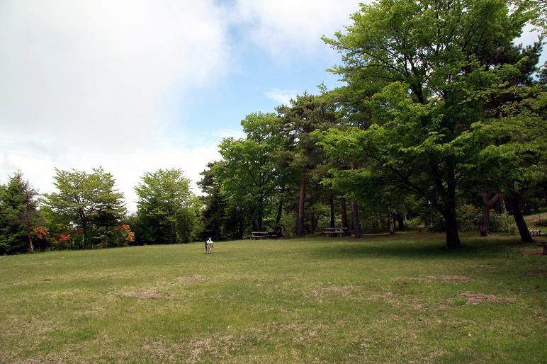 f0034602_22411988.jpg
