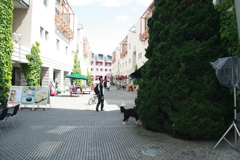 f0034602_2252515.jpg