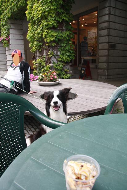 f0034602_232346.jpg