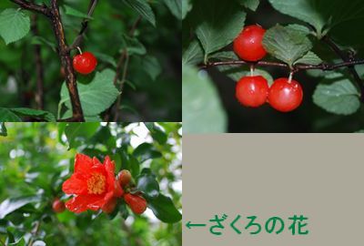 f0109202_20235516.jpg