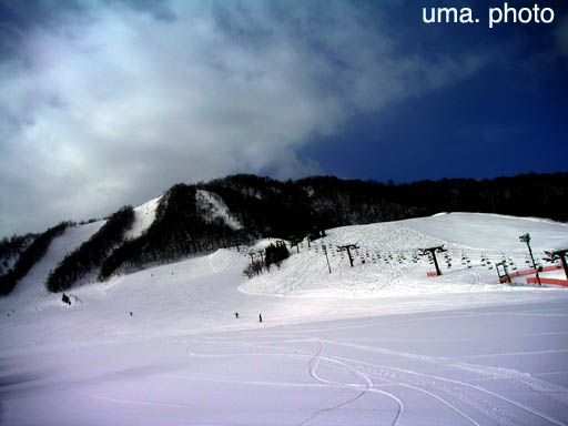 b0061004_2383864.jpg