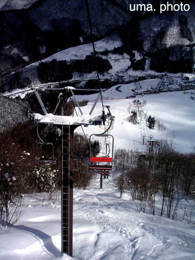 b0061004_2385273.jpg