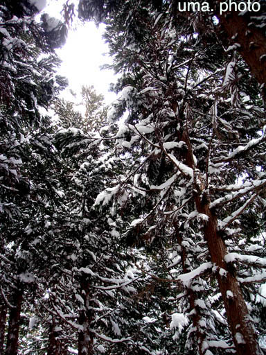 b0061004_239594.jpg