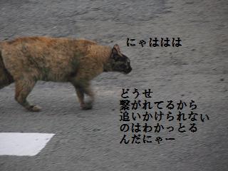 d0104209_201235.jpg
