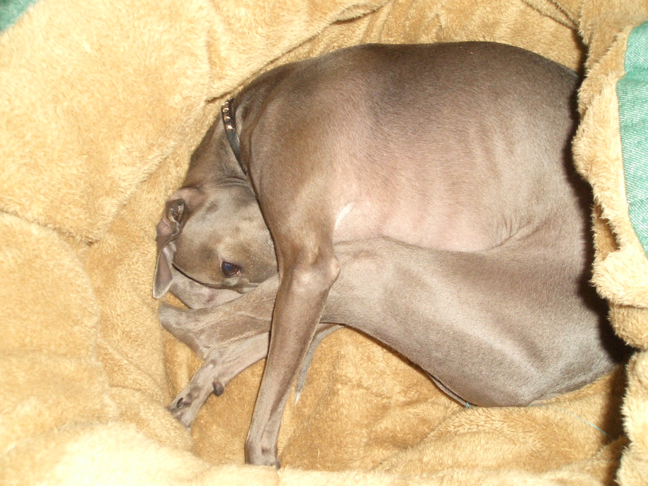 e0141909_11195136.jpg
