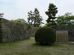 f0006509_23531427.jpg