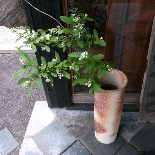 e0145711_132179.jpg