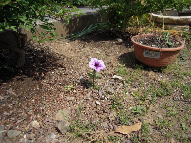 f0167314_2264577.jpg