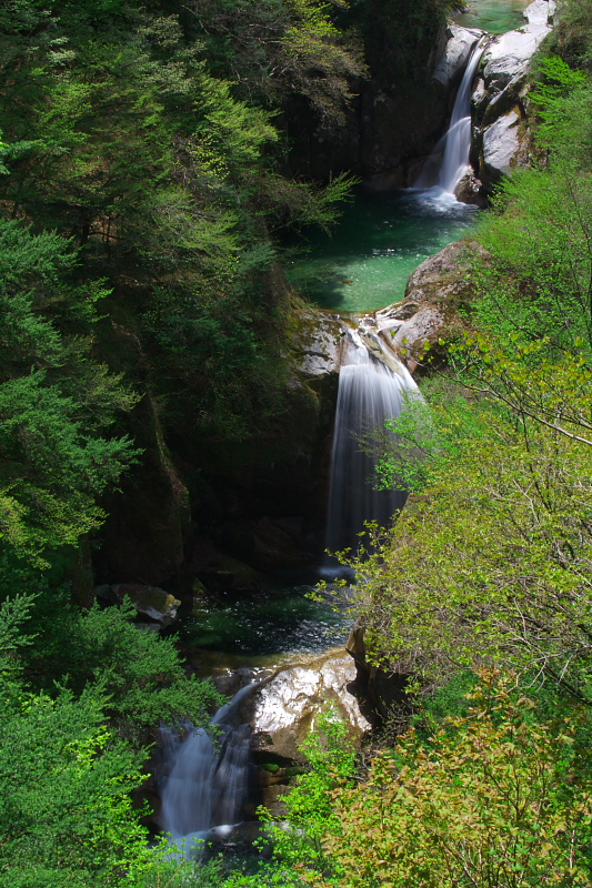c0153616_20384713.jpg