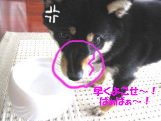 c0185516_13215564.jpg