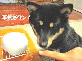 c0185516_13225228.jpg