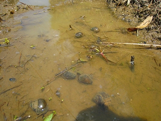 e0002820_21402338.jpg