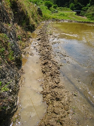 e0002820_2148885.jpg