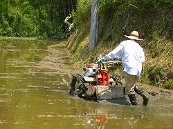 e0002820_21521923.jpg