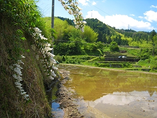 e0002820_2153936.jpg