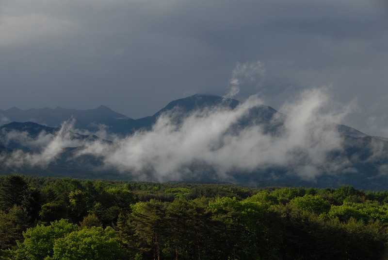 c0044021_775585.jpg