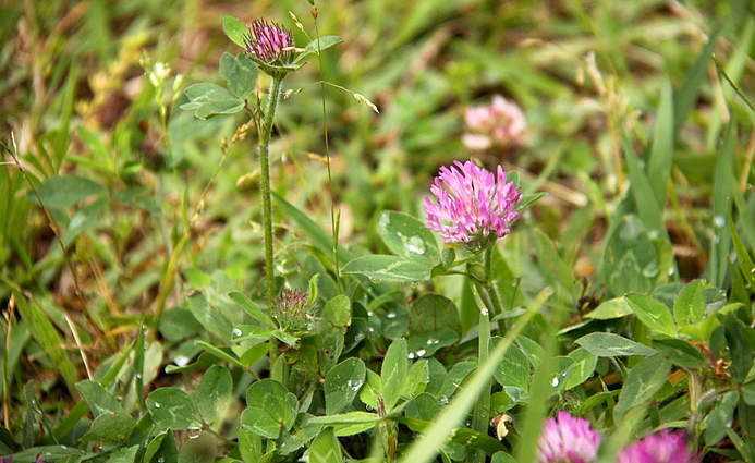 b0165522_161024100.jpg