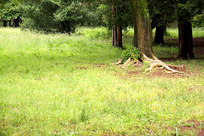 b0165522_1685016.jpg