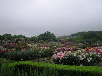 f0128723_20514162.jpg