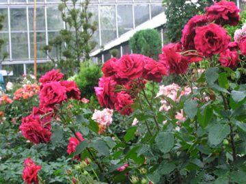 f0128723_2053361.jpg