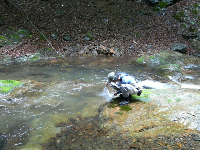 e0147226_22343467.jpg