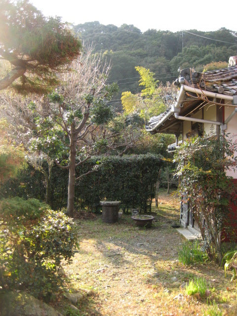 d0147727_103267.jpg