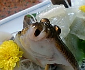 c0051529_18205132.jpg