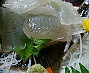 c0051529_1822342.jpg
