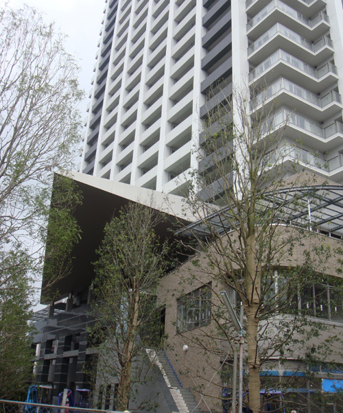 c0117831_19351978.jpg