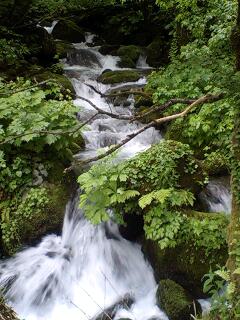 f0118332_18374262.jpg