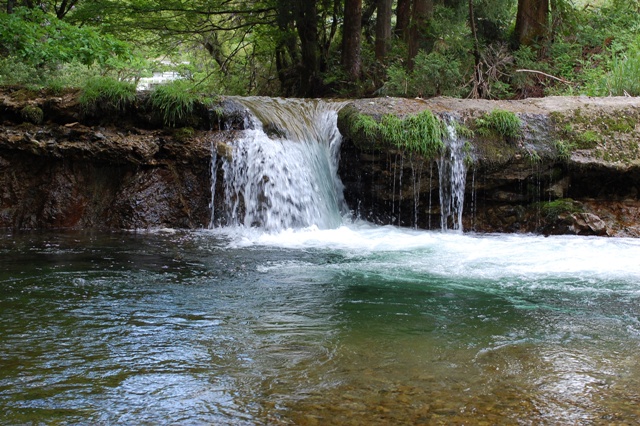 b0145733_11224443.jpg