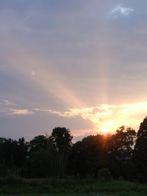 d0105133_22105115.jpg