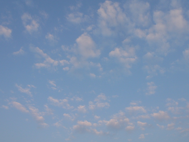 d0105133_2242567.jpg