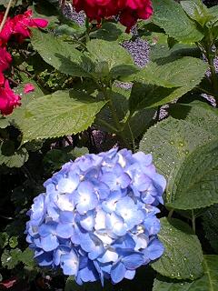 e0059834_1918215.jpg