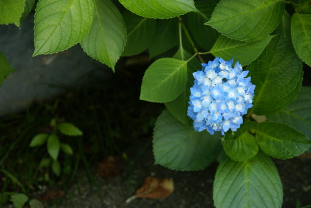 b0117437_18534886.jpg