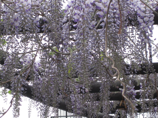 c0117239_2204062.jpg