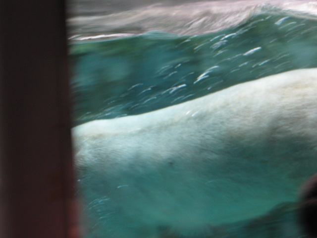 c0117239_22594640.jpg