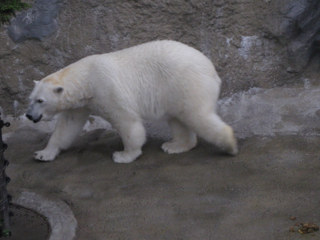 c0117239_23223073.jpg