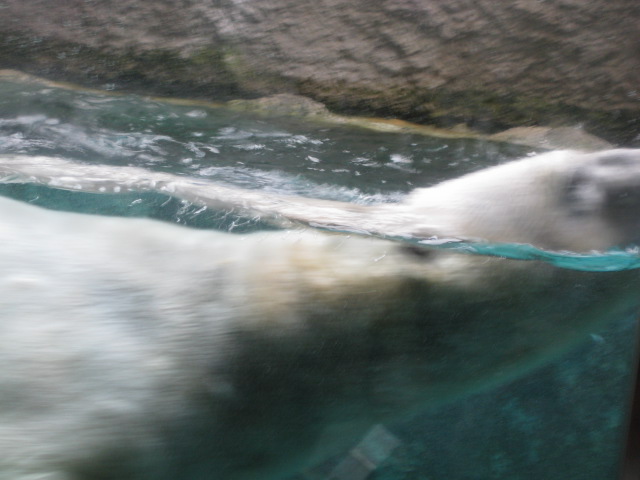 c0117239_2325321.jpg