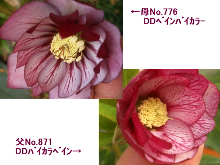 c0025140_18184359.jpg