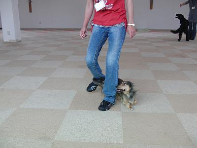 f0186040_20383266.jpg
