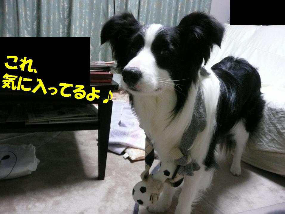 c0147241_194031100.jpg
